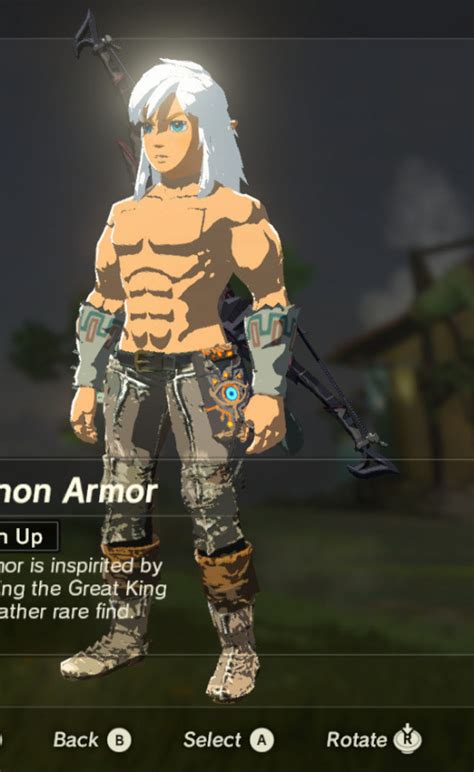 - The Legend of Zelda. . Botw armor upgrade materials